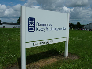Danmarks Kvægforskningscenter